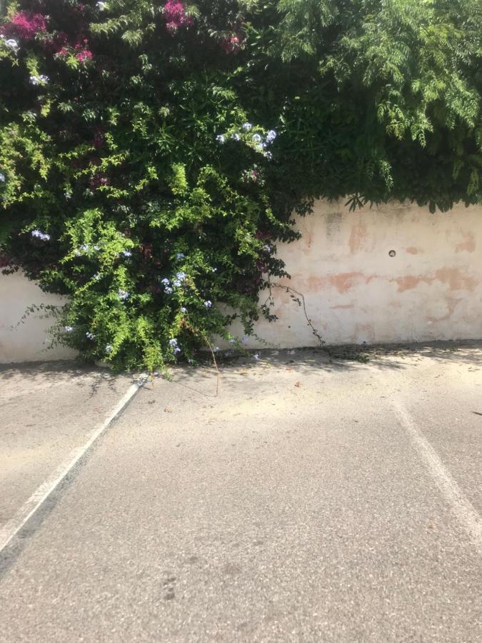 Studio 2 adultes 2 enfants Sanary sur Mer à 800m de la mer Extérieur photo